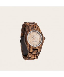 Zebra Petite - Core 36MM