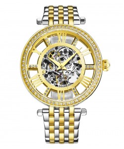 Delphi 3944 38mm Skeleton