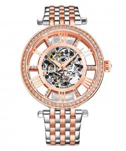 Delphi 3944 38mm Skeleton